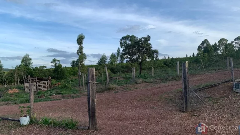 Imagem Sítio à Venda na Comunidade Caixetas – Guimarânia-MG | 11,9 Hectares com Casa de 186m² – R$ 700 Mil