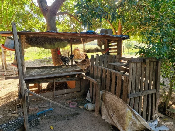 Imagem Chácara 7,8 hectares em Rochedo-MS