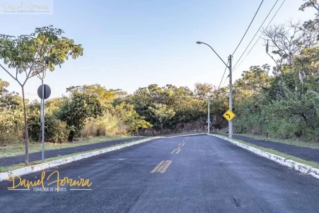 Imagem Lote com fundo e vista livre para a reserva na Travessa Orquídeas