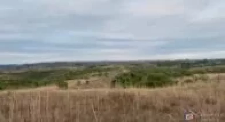 Imagem Fazenda à venda em Presidente Olegário – 58 hectares planos, mecanizáveis e com água