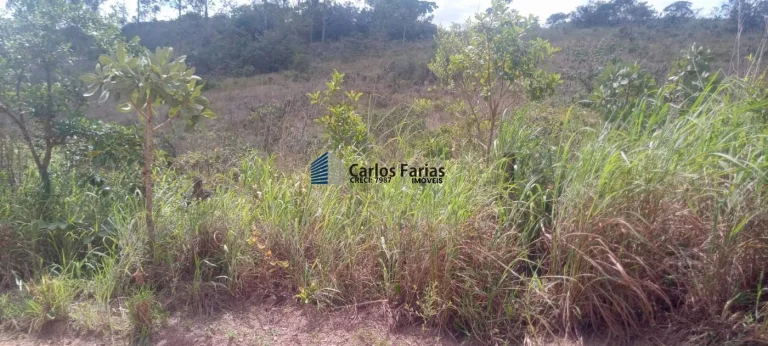 Foto do imóvel: Chácara para Venda em Brasília, Área Rural de São Sebastião