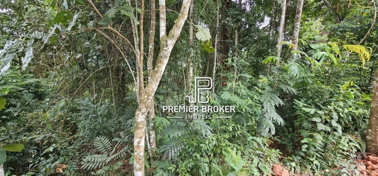 Imagem Terreno à venda, 1450 m² por R$ 400.000,00 - Parque do Imbui - Teresópolis/RJ