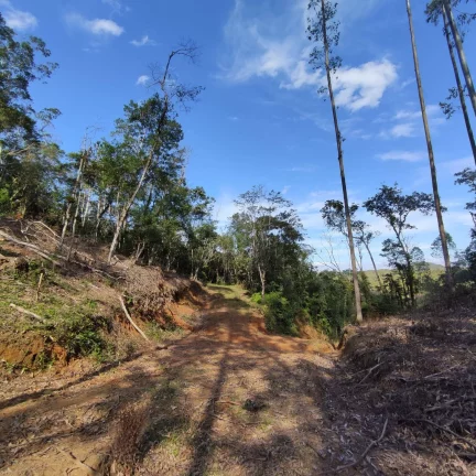 Imagem Terreno Rural à venda em Joinville, bairro Pirabeiraba
