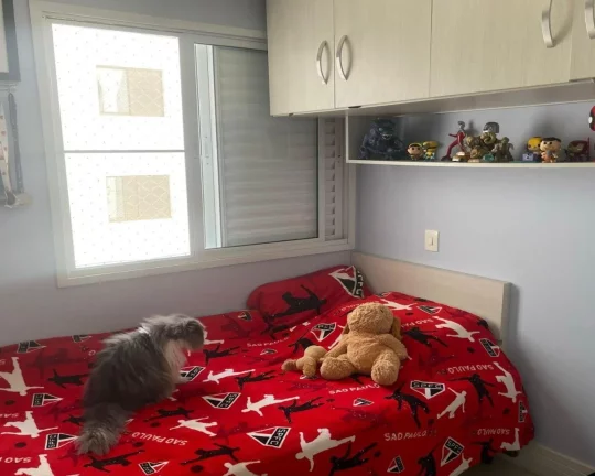 Imagem Apartamento São Francisco, 3 suítes ,3 vaga, c depósito,varanda gourmet,142 mts.