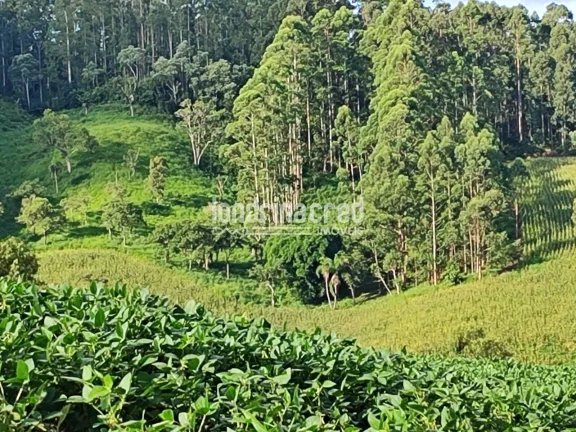 Imagem Chácara à venda 744000M², Zona Rural, Castro - PR