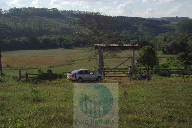 Sítio 13,5 alqueires R$ 150.000 valor do alqueire, excelente estrutura, planta milho, soja, tem 2.000 pés de mexerica - Jacuí - Minas Gerais