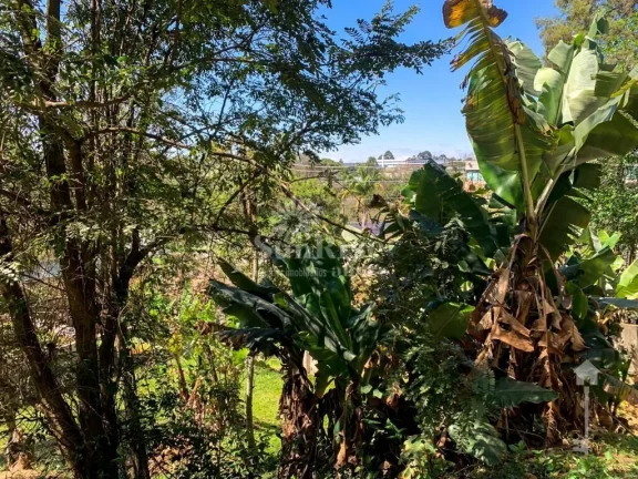 Imagem Terreno a venda Tamboré 1 com 2018m² - R$ 5.000.000 - Barueri/SP