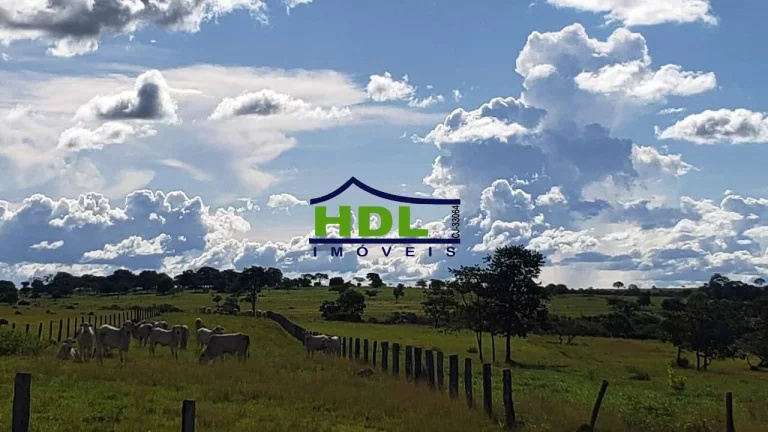 Imagem Fazenda com 351 Alqs dupla Aptidão em Piranhas/GO