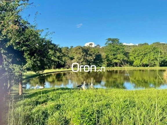 Imagem Chácara com 5 dormitórios à venda, 1540 m² por R$ 1.250.000,00 - Portal do Cerrado - Bela Vista de Goiás/GO