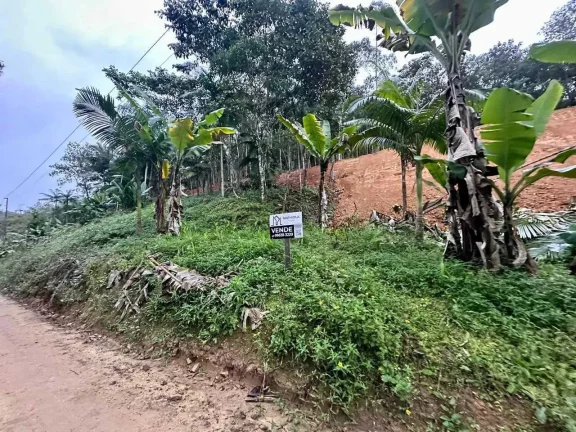 Imagem Terreno rural com 30.142,92m² em Massaranduba/SC
