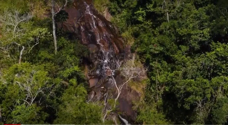Imagem Fazenda de 1067 alqueires à venda em Santa Branca com 180 nascentes