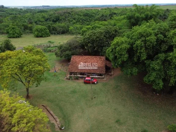 Imagem Fazenda à venda proximo ao Jockey Clube de 14,5 Alqueires com aproveitamento de 10 Alqueires em Uberaba saida para a Cidade de Campo Florido.