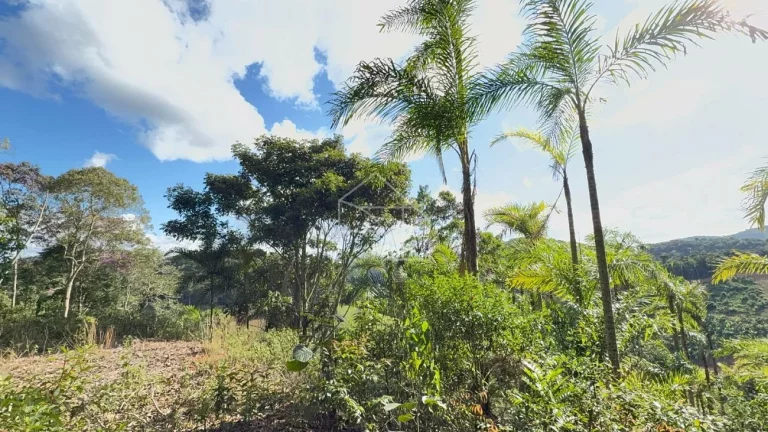 Imagem Chacara em Melgaço - Domingos Martins
