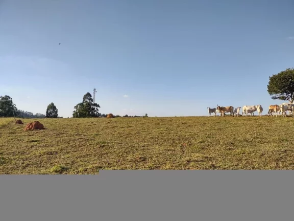 Imagem Belíssimo sítio à venda localizado em Cabreúva-SP