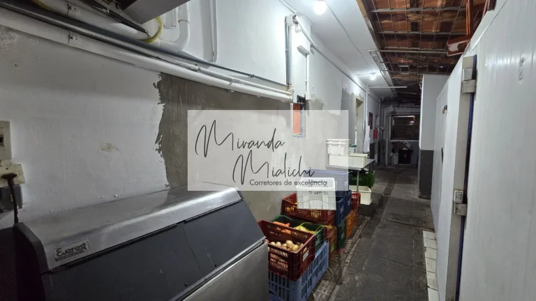 Imagem Ponto Comercial e propriedade à venda - Canasvieras