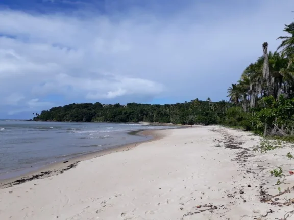 Imagem Oportunidade única: Área de Terra em Velha Boipeba, Cairu - confira!