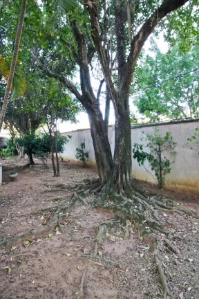 Imagem APARTAMENTO RESIDENCIAL em São Paulo - SP, Vila Leopoldina