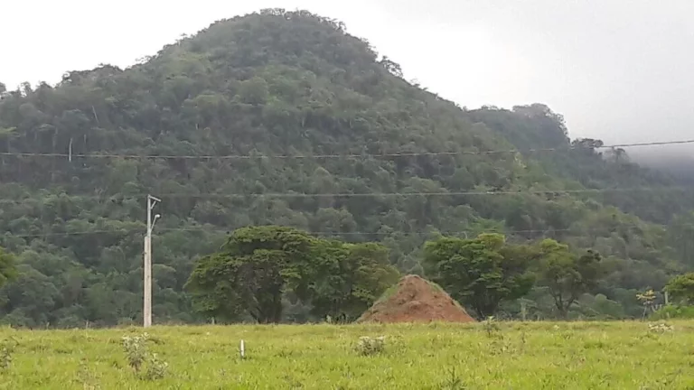 Imagem Terreno plano a venda em São Pedro