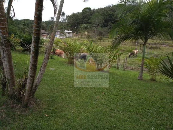 Imagem Sítio à venda, 72000 m² por R$ 400.000,00 - Padre André - Jacupiranga/SP