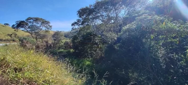 Imagem Terreno à venda no bairro Cedro - Cunha/SP