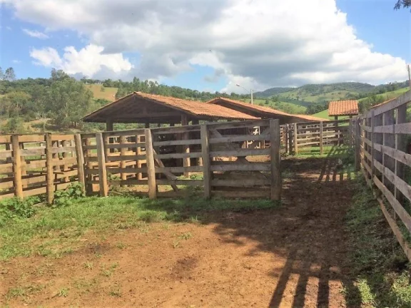 Imagem FAZENDA RURAL À VENDA, ROSETA, CAMBUÍ.