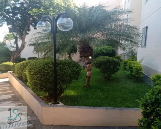 Imagem Apartamento à Venda Souza Queiroz, Campinas/SP