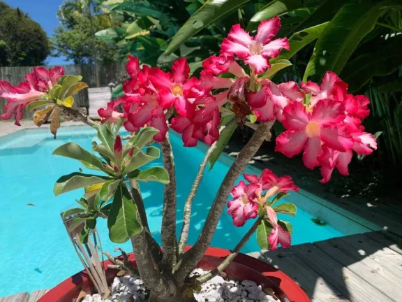 Imagem CASA NO OUTEIRO DAS BRISAS