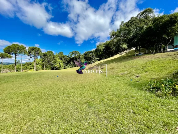 Imagem Chácara à venda no bairro Ana Rech - Caxias do Sul/RS
