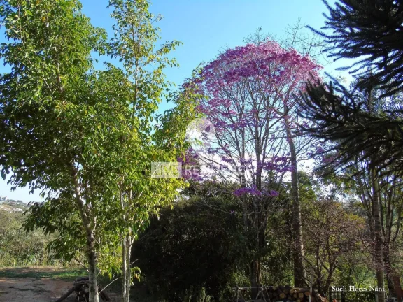 Imagem Chácara à venda dentro da cidade