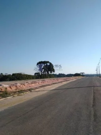 Imagem TERRENOS EM CAMPO LARGO