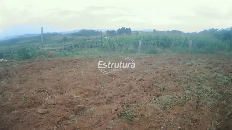 Imagem Terreno amplo no Passo das Tropas