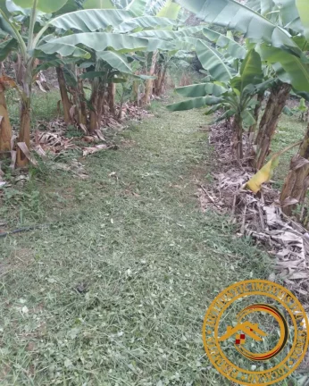 Imagem SITIO RURAL em BOITUVA - SP, Agua Branca