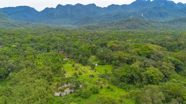 Imagem Chácara 81.756,00 m2 Porto de Cima