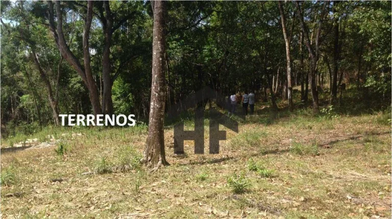 Imagem Terreno de 10.700m² à venda, localizado em Enseada dos Corais, Cabo de Santo Agostinho - Pernambuco.