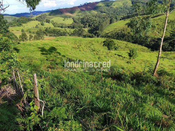 Imagem Chácara à venda 744000M², Zona Rural, Castro - PR