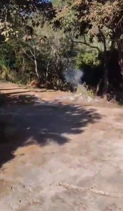 Imagem Chácara Nova Nazaré Paulista 1.500 m² 3 dor apenas 320 mil!