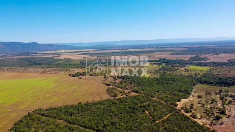 Imagem Fazenda a venda em Formosa: 281 hectares, água perene, dupla aptidão - escriturada e registrada.