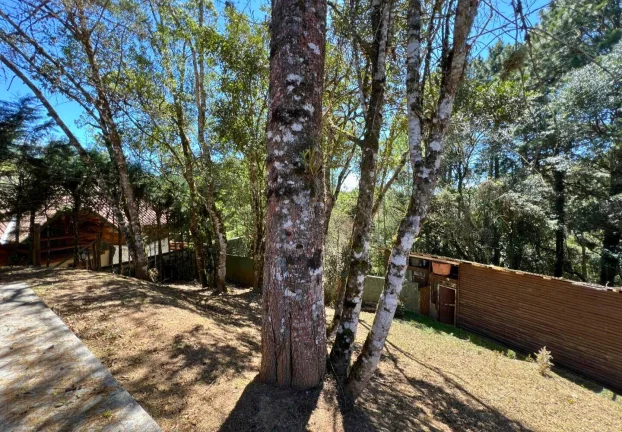 Imagem Três casas, um grande jardim e a liberdade de viver a serra no seu próprio ritmo
