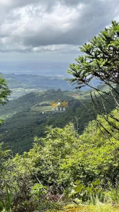 Imagem Terreno com 2 Dormitorio(s) localizado(a) no bairro Mato Comprido em Morro Reuter / RIO GRANDE DO SUL Ref.:1571