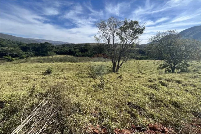 Imagem Fazenda à Venda, 720.000 m² em Centro - São Roque De Minas