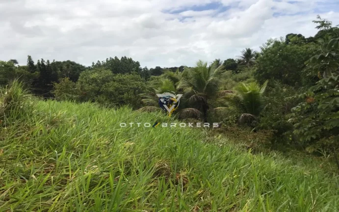 Imagem AREA RESIDENCIAL em SANTA CRUZ CABRÁLIA - BA, TÂNIA