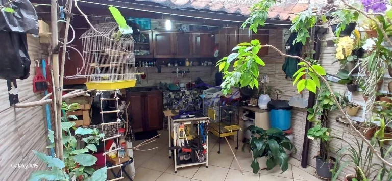 Imagem Casa com 3 quartos (1 suíte) à venda, 185 m² - Jardim Ester - Butantã - São Paulo/SP