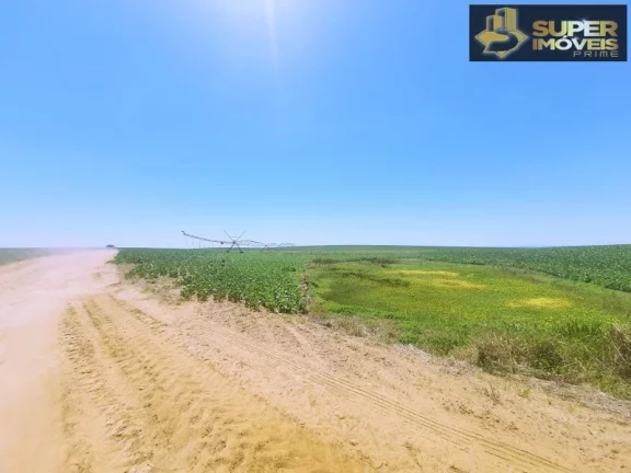 Imagem Fazenda de Excelência no RS 2.100 hectares Cachoeira do Sul