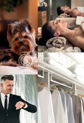 Imagem Apartamento para Venda em São Paulo / SP no bairro Vila Mariana