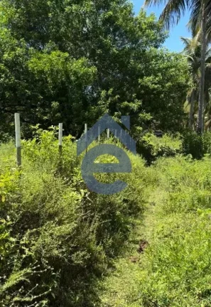 Imagem Terreno em área litoranea de São Miguel dos Milagres, Alagoas, 5.850m2
