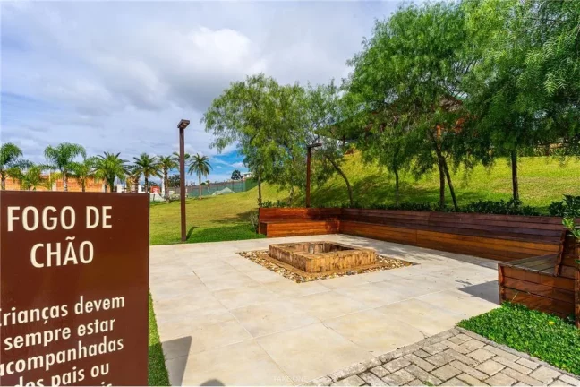 Imagem MCTDA 1729 Lote 690591010-22