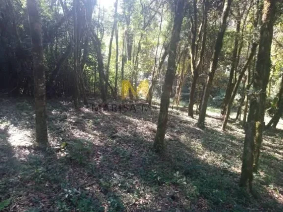 Imagem Chácara, 7000m2, à venda no Recreio da Serra em Piraquara!!!