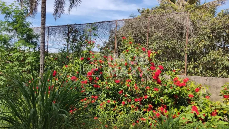 Imagem Casa de condomínio no Jardim Botânico, 4 quartos, 3 suítes, 360m², quintal de 1253m², venda adjudicada.