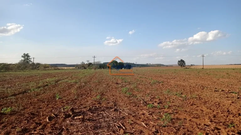 Imagem Sítio à venda no bairro Martim Francisco - Mogi Mirim/SP