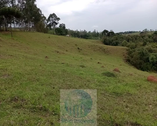 Imagem Sítio 20 ha ou 8,26 alq. a venda, para café, gado Jacui Sul de Minas Gerais